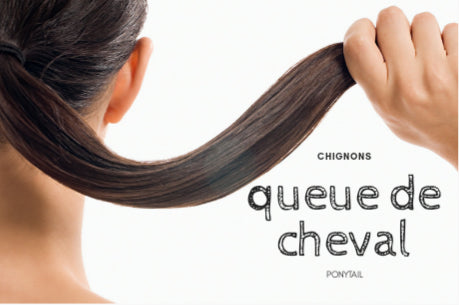 POSTICHE /QUEUE DE CHEVAL